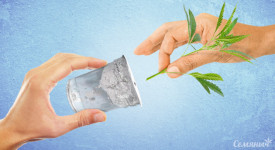 Питательные вещества для черенков и клонов конопли