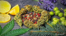 Тест: Разбираешься ли ты в терпенах?