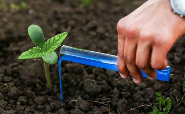 Микроудобрения для роста каннабиса Микроудобрения дял марихуаны