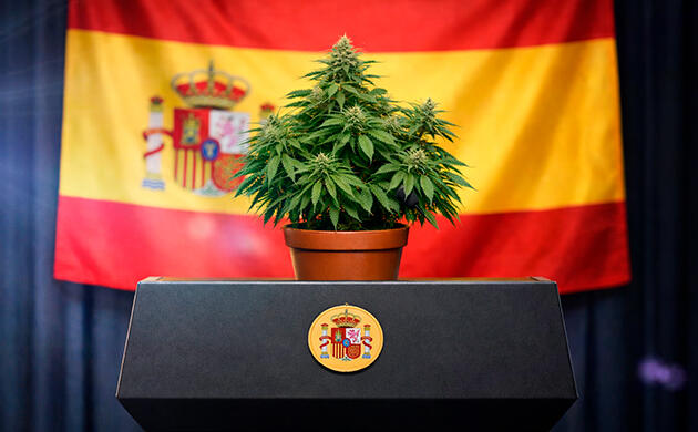 Немножко политики, или ложка дёгтя в бочке мёда