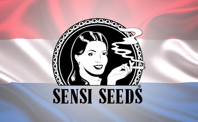 Преимущества Sensi Seeds Sensi Seeds – представитель европейской селекции