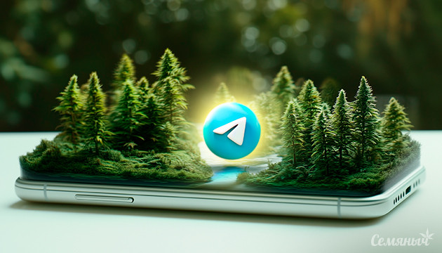 Официальный Telegram Семяныча Семяныч в Telegram