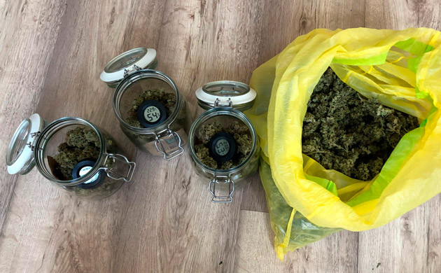 Собранный урожай 311 грамм сухих шишек