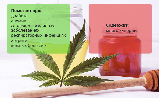 Ценность конопляного меда Плюсы и минусы меда из семян конопли
