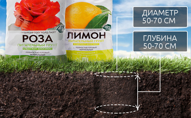 Подготовка лунки для высадки каннабиса Лунка диаметром и глубиной 50-70 см