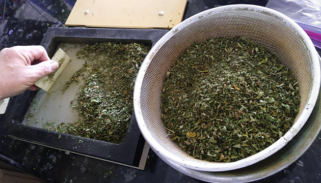 Этапы приготовления Просеивание шишек