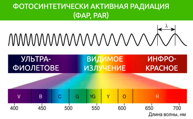 Важность показателей длины волны и силы излучения Фотосинтетически активная радиация