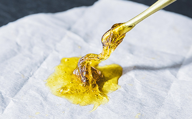 Канифоль: экстракция без растворителей Технология получения канифоли (SHO)