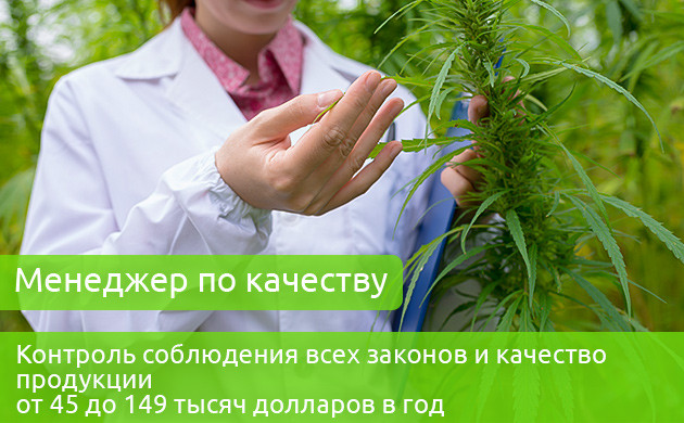 Менеджер по качеству Зарплата менеджера по качеству 45-149 тыс. долларов