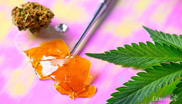 Методы добычи марихуаны: стоимость, чистота и качество Методы экстракции марихуаны: эффективность, оптимизация чистоты