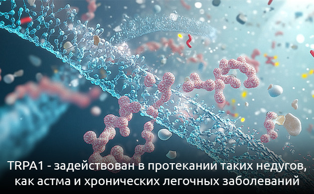 TRPA1 и хронические болезни Роль TRPA1 в терапии