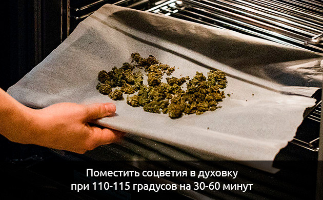 Ингредиенты для овсяного печенья с коноплей Подготовка конопли для печенек