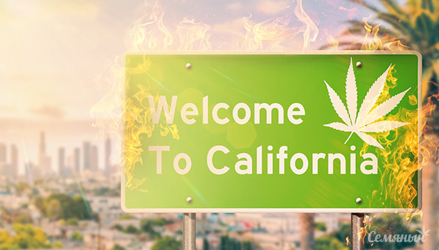 Добро пожаловать в Калифорнию Калифорнийская жара