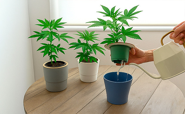 Идеальная система гидропоники без затрат и сложностей Фитильная гидропоника для начинающих