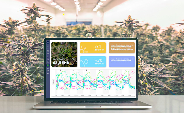 Новейшая технология техника Crop Steering Управление ростом урожая