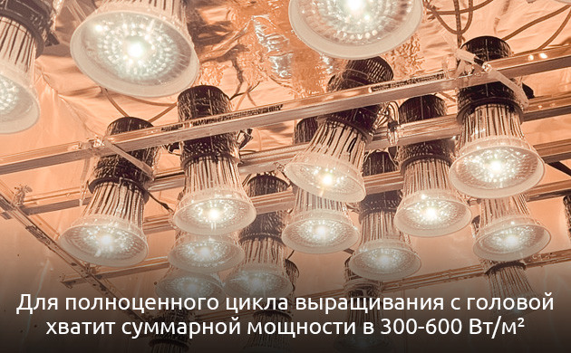 Расчеты освещения для гроубокса: просто и понятно Как подобрать мощность ламп для растений