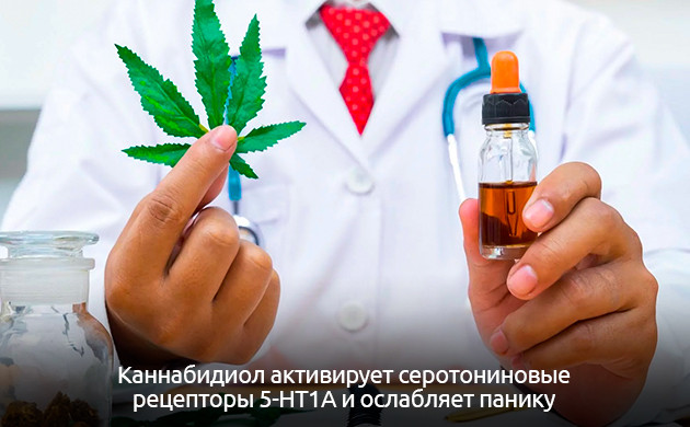 Влияние стресса на качество жизни КБД как эффективное средство против стресса и нервных расстройств