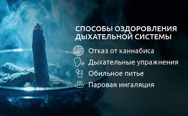 Естественные способы поддержания здоровья легких Как очистить легкие от токсинов после конопли