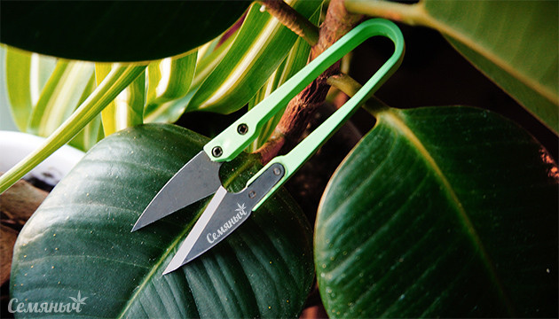 Маникюрные ножницы от Семяныча снова в наличии Ножницы для маникюринга