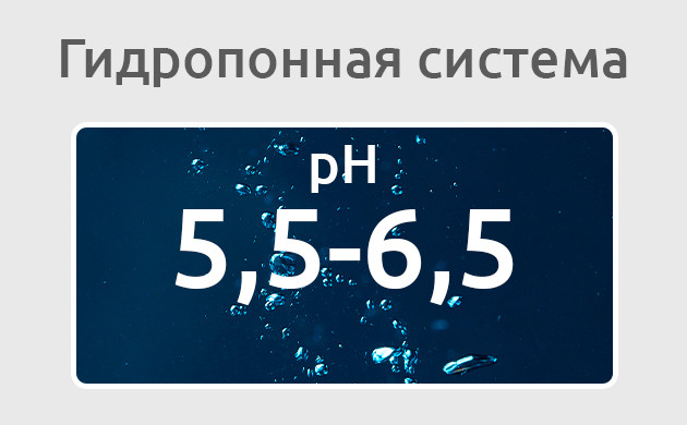 Гидропоника: почему pH так важен Как поддерживать pH в гидропонных системах