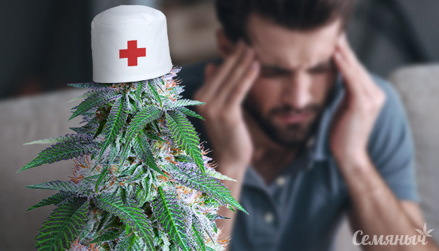 Применение конопли при мигрени Каннабис и головные боли