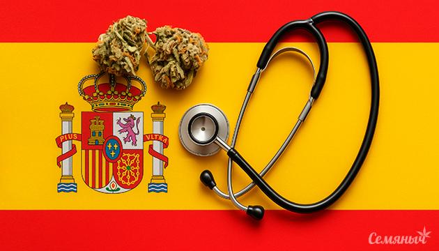 Правительство Испании решило легализовать медицинскую коноплю Испания и легализация медицинского каннабиса