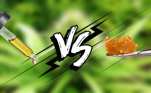 Сравнение по признакам классических экстрактов и живой смолы