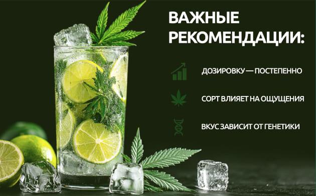 Важные советы Рекомендации по использованию