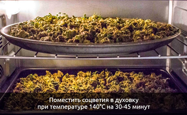 Как добавить бекон в каннабис В какой форме добавлять коноплю в бекон