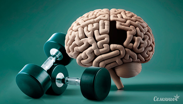 Каннабис в лечении деменции Борьба с Альцгеймером: роль каннабиса