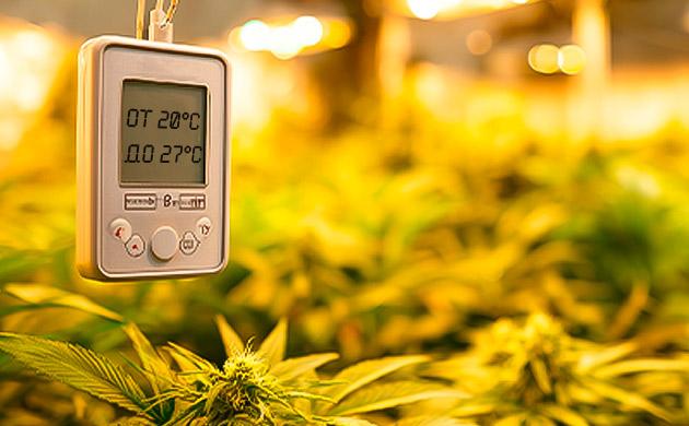 Комфортная температура