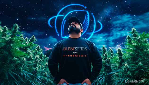 Новинки от легендарных Silent Seeds Новинки от селекционеров Sherbinskis x Silent Seeds