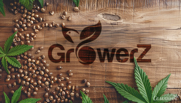 GroverZ: Онлайн-магазин семян конопли для домашнего выращивания GroverZ: Семена конопли для домашнего выращивания