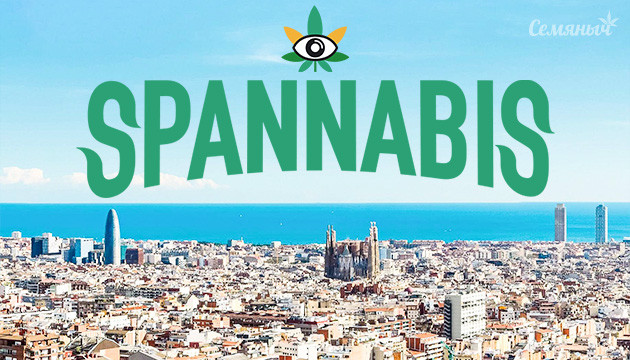 Победители мирового кубка автоцветов в Испании Spannabis - крупнейший канна-фестиваль Европы: Победители