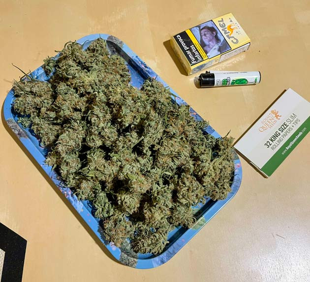 Сбор урожая и впечатления от грова Харвест