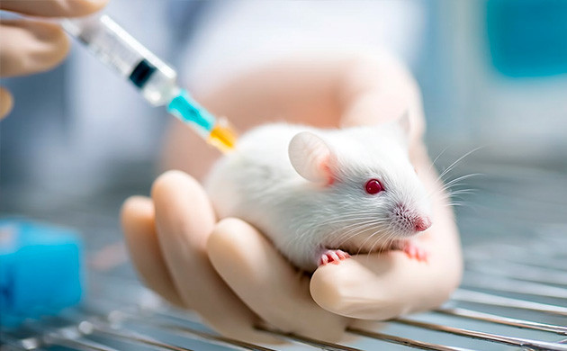 Антиоксидантные свойства цинеола: научные доказательства пользы Эвкалиптол – природный антиоксидант