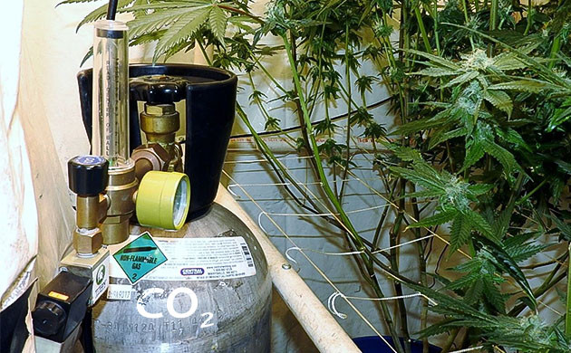 Углекислый газ для повышения урожайности автоцветов Диоксид углерода (CO2) для повышения урожайности автоцветов