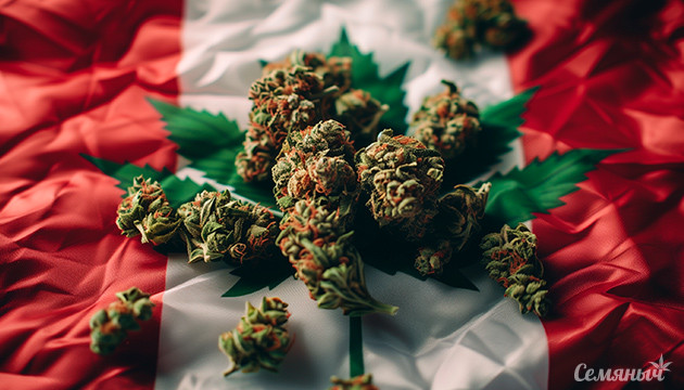 День Канады Сорта из Канады