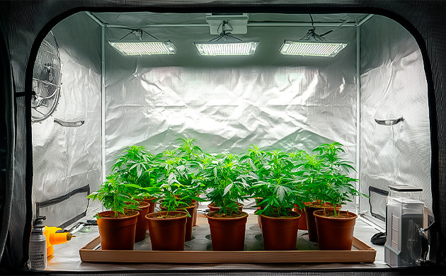 Эффективная организация рабочего пространства Оптимизация пространства без потери урожая