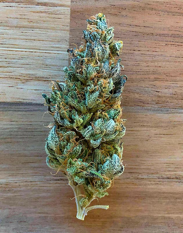 Сбор урожая и впечатления гровера Харвест