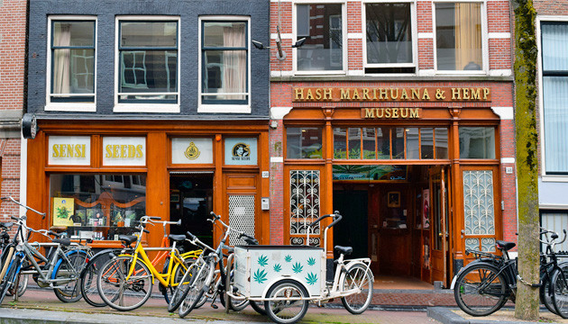 Музей конопли в Амстердаме Канна-музей Hash Marihuana Hemp Museum
