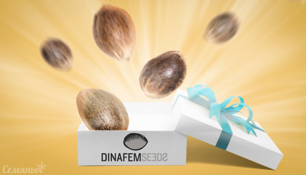 Акция от сидбанка Dinafem Дополнительные бонусные семена от Dinafem