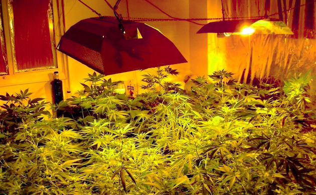 Нагрев помещения от ДНаТ ламп Гроурум освещаемый ДНаТ лампами