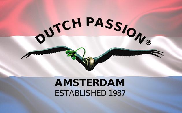 Преимущества Dutch Passion Dutch Passion – представитель европейской селекции