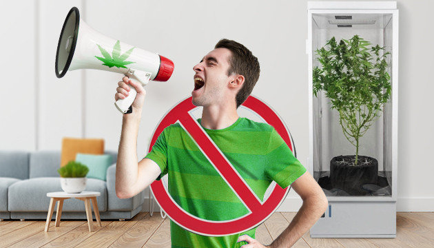 Молчание – безопасность Не кричать о гровинге