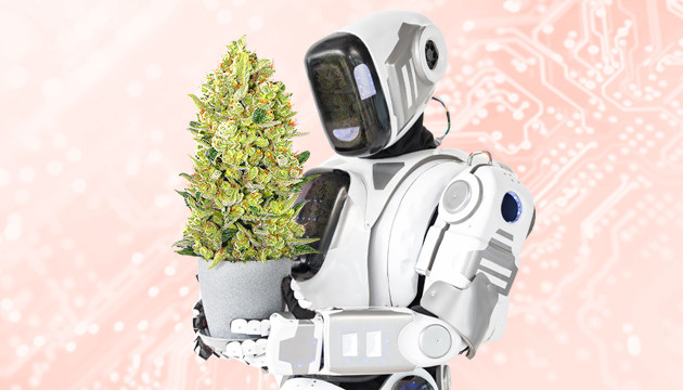 Лучщие автоцветы по промокоду Акция на автоцветущие сорта