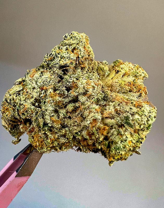 Сбор урожая и впечатления от гровера Харвест