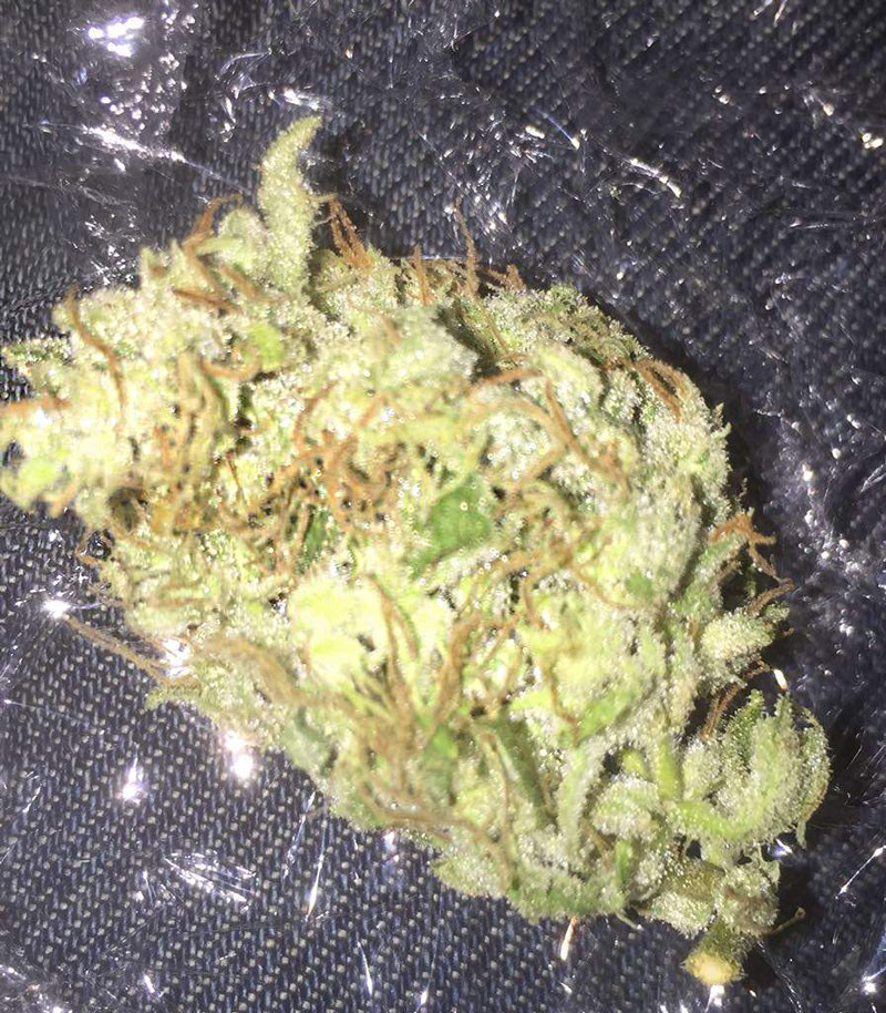 Сушка шишек Высушенная шишка LSD