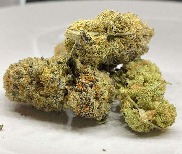 Общие впечатления от грова Orange Kush Cake R1 Созревшие шишки конопли