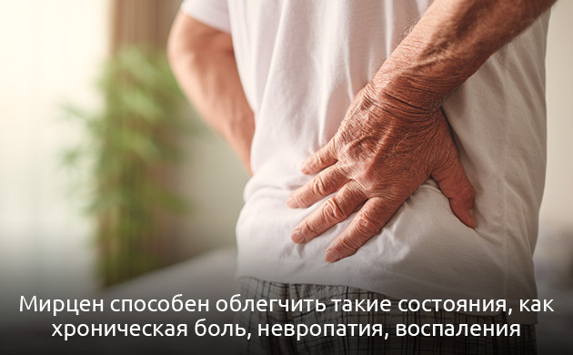 Способность мирцена воздействовать на боль и воспаление Обезболивающие и противовоспалительные свойства